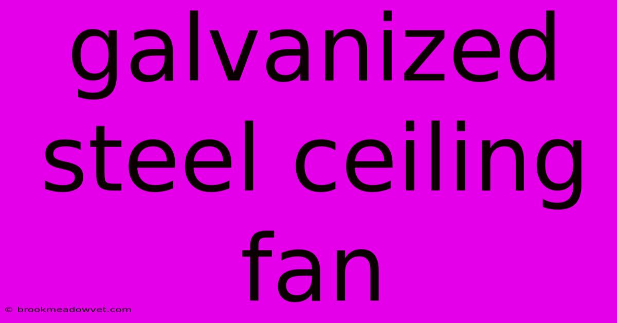 Galvanized Steel Ceiling Fan