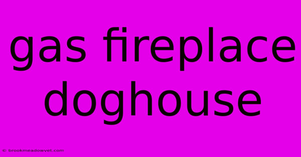 Gas Fireplace Doghouse