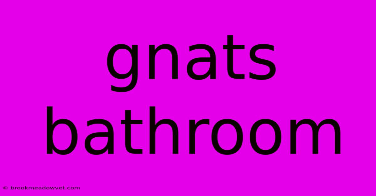 Gnats Bathroom