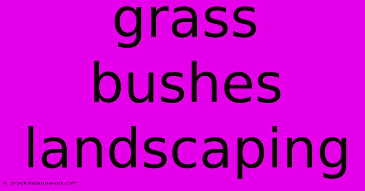 Grass Bushes Landscaping