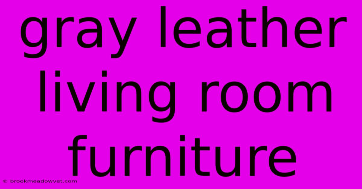 Gray Leather Living Room Furniture