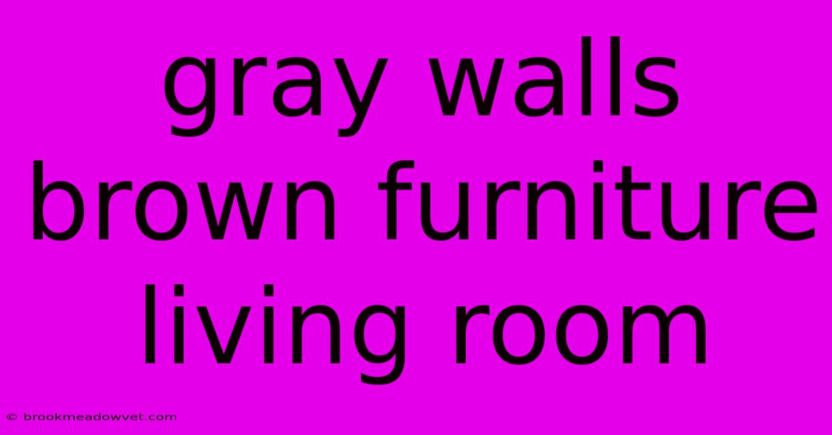 Gray Walls Brown Furniture Living Room