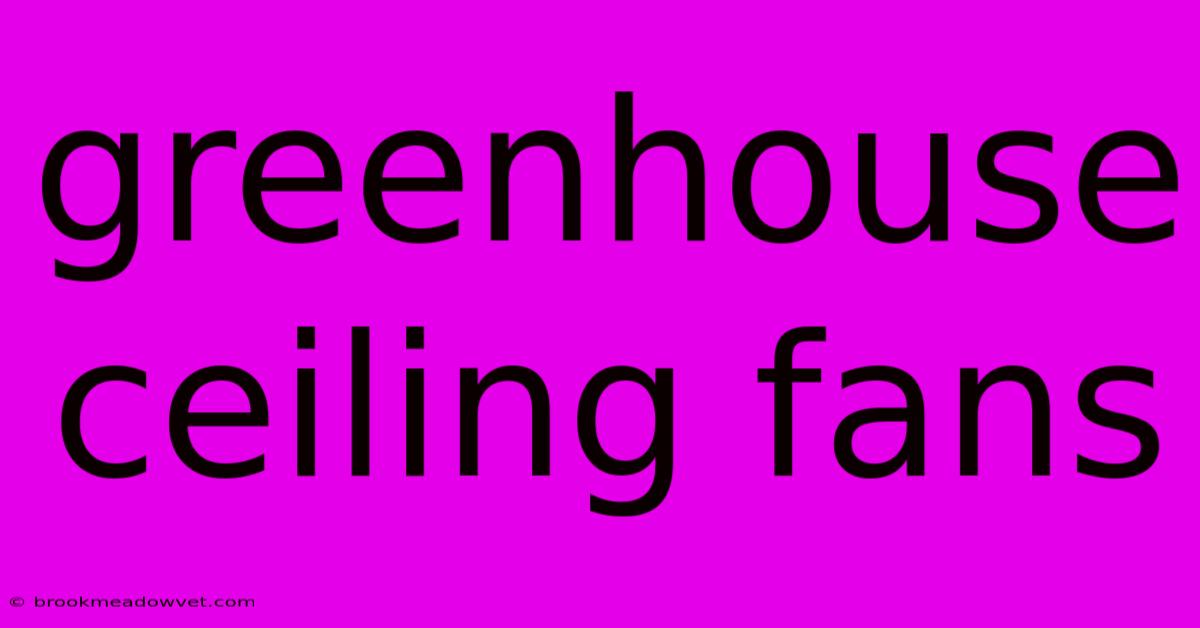 Greenhouse Ceiling Fans