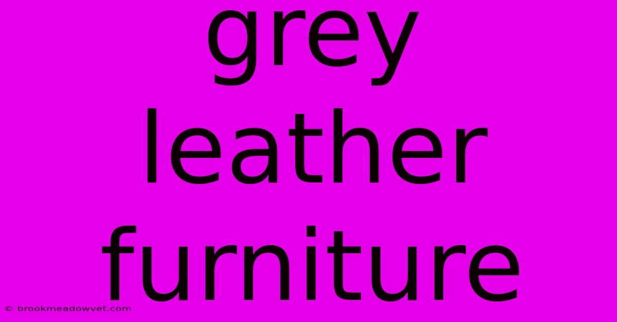 Grey Leather Furniture