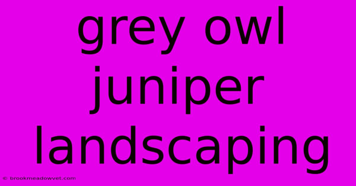 Grey Owl Juniper Landscaping