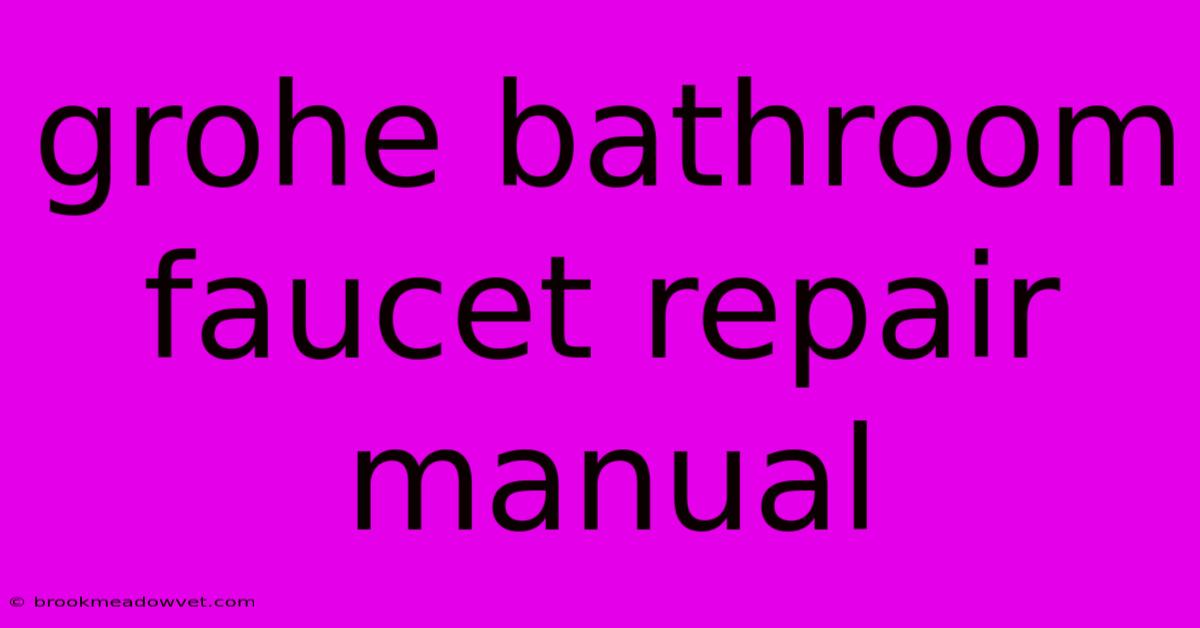 Grohe Bathroom Faucet Repair Manual