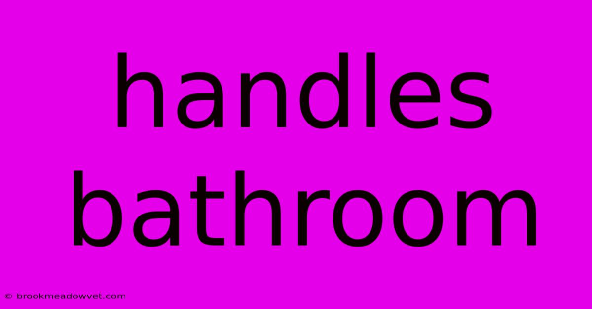 Handles Bathroom