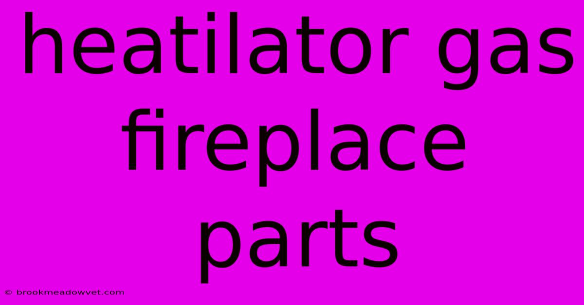 Heatilator Gas Fireplace Parts