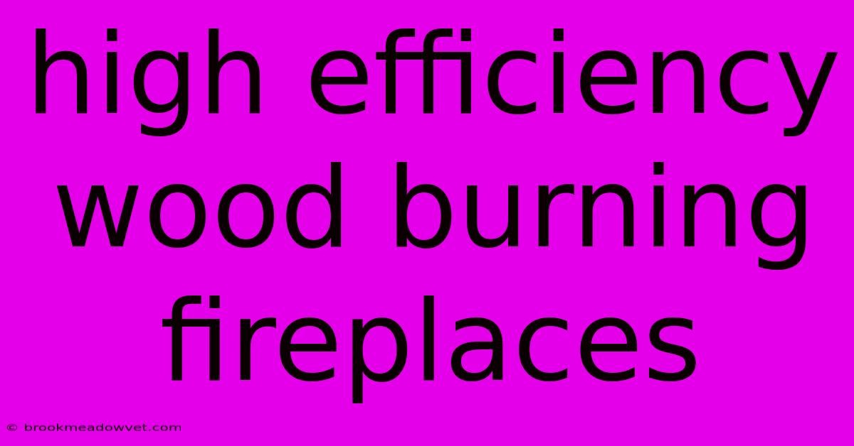 High Efficiency Wood Burning Fireplaces