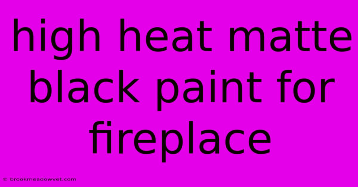 High Heat Matte Black Paint For Fireplace