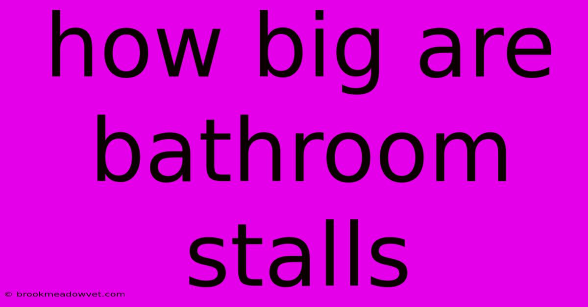 How Big Are Bathroom Stalls