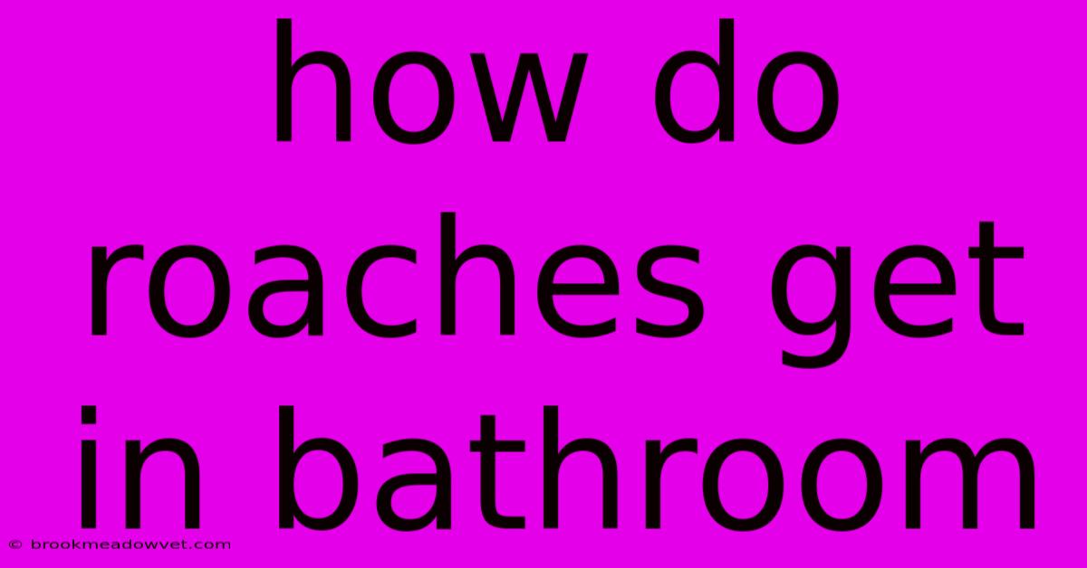 How Do Roaches Get In Bathroom