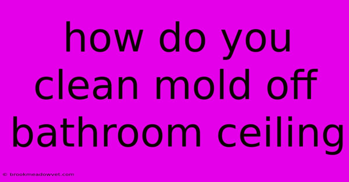 How Do You Clean Mold Off Bathroom Ceiling