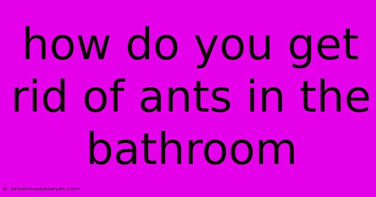 How Do You Get Rid Of Ants In The Bathroom