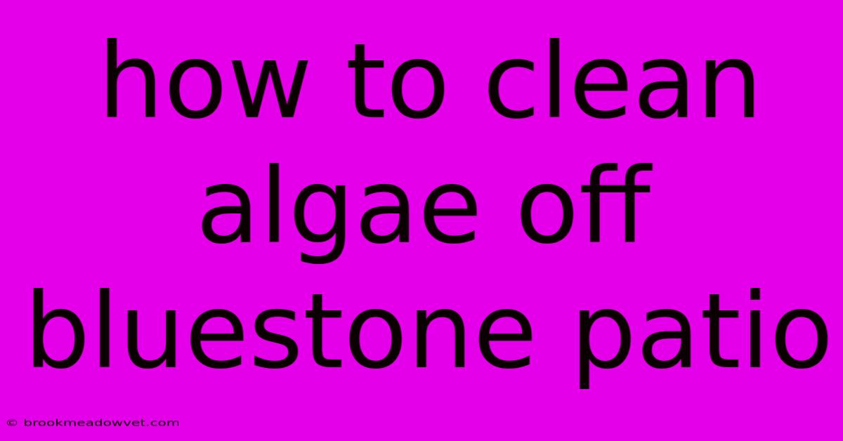 How To Clean Algae Off Bluestone Patio