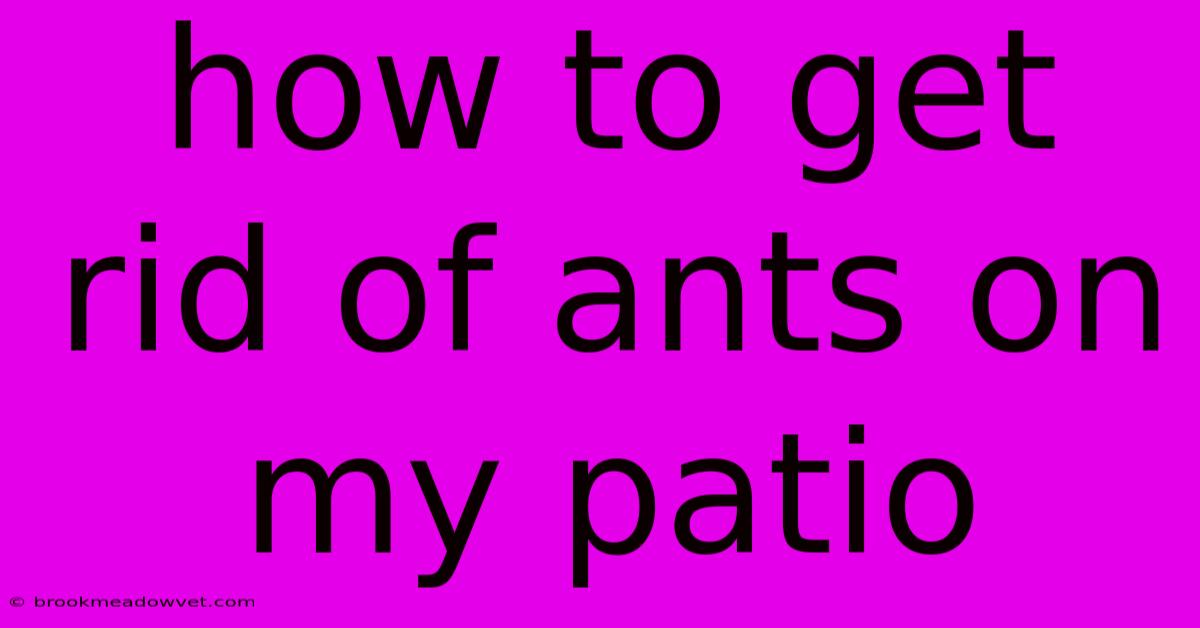 How To Get Rid Of Ants On My Patio