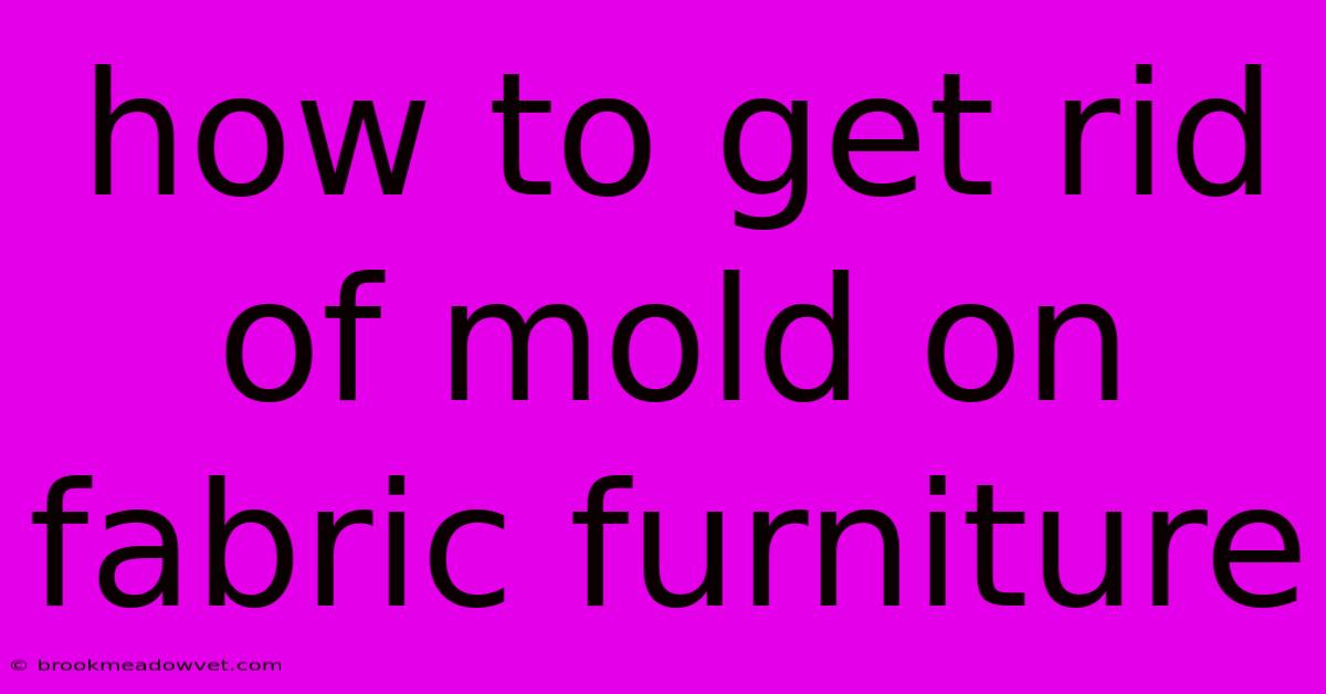 How To Get Rid Of Mold On Fabric Furniture