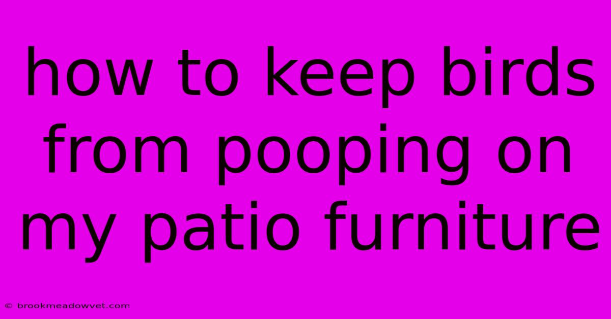 How To Keep Birds From Pooping On My Patio Furniture