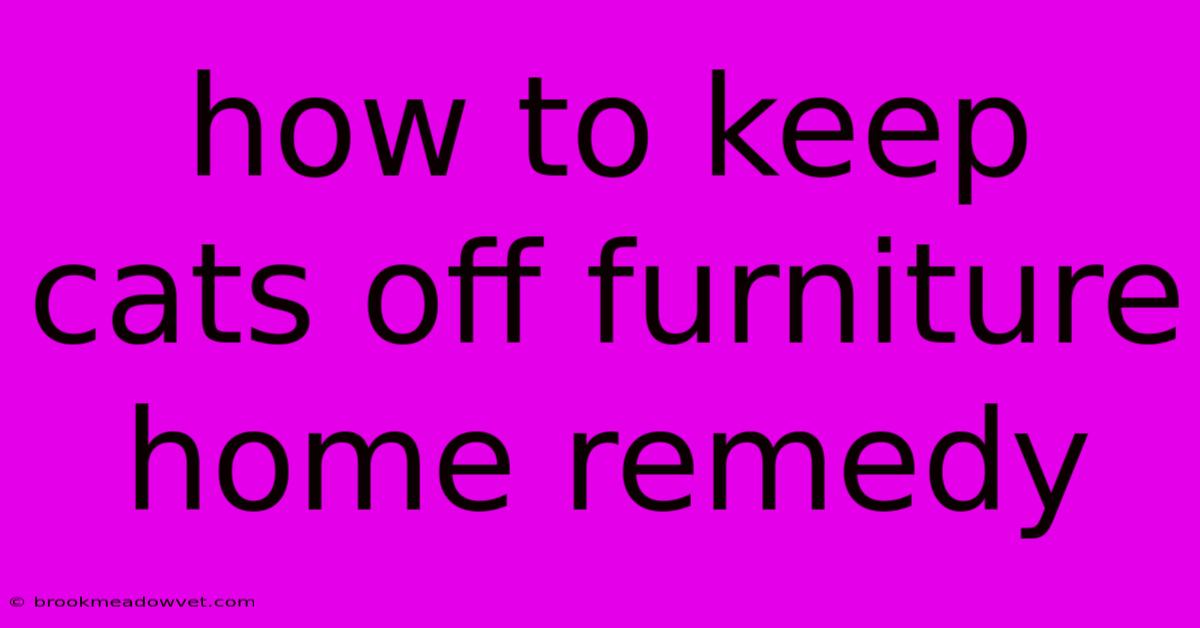 How To Keep Cats Off Furniture Home Remedy