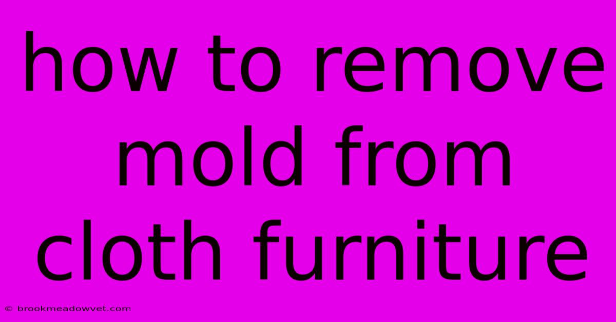 How To Remove Mold From Cloth Furniture