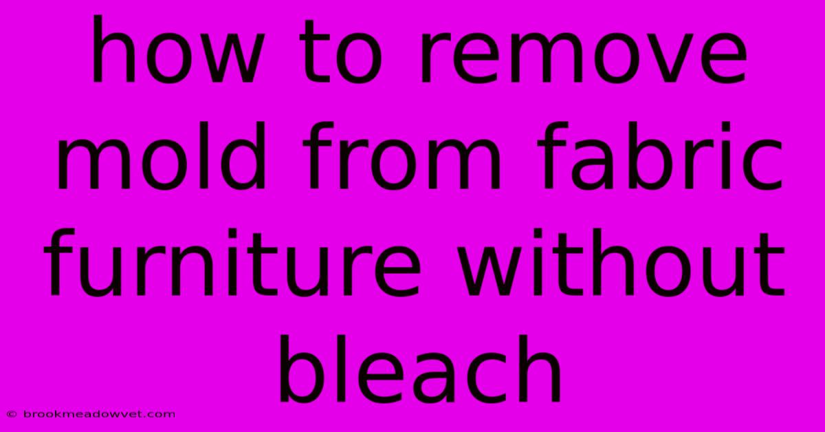 How To Remove Mold From Fabric Furniture Without Bleach