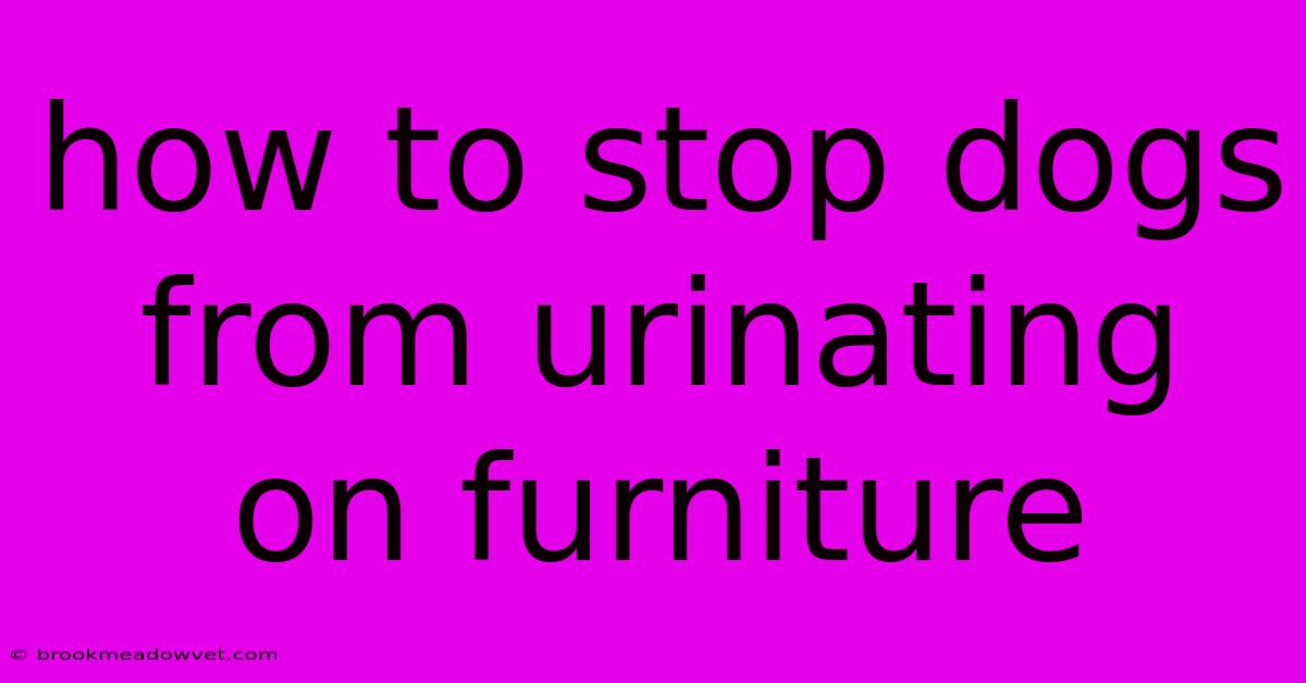 How To Stop Dogs From Urinating On Furniture