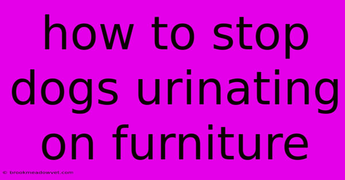 How To Stop Dogs Urinating On Furniture