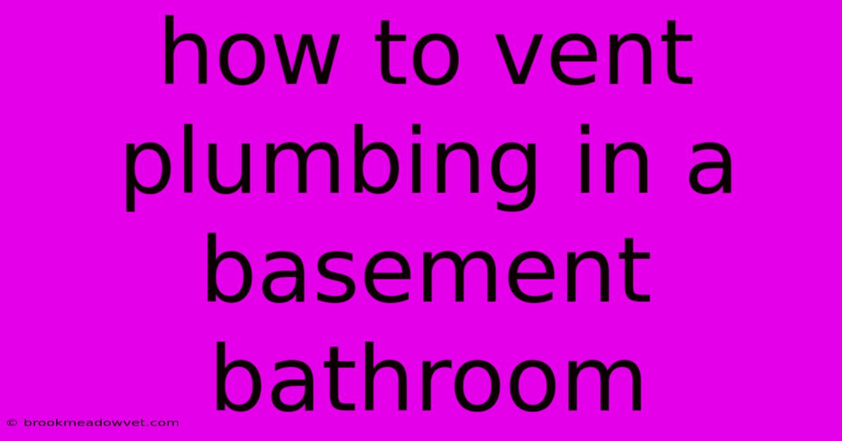 How To Vent Plumbing In A Basement Bathroom