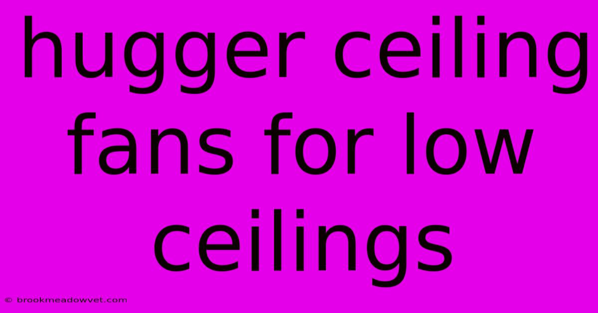 Hugger Ceiling Fans For Low Ceilings