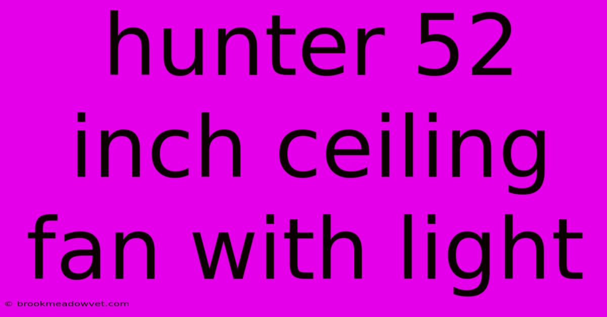 Hunter 52 Inch Ceiling Fan With Light