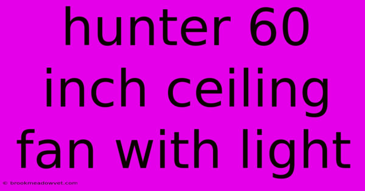 Hunter 60 Inch Ceiling Fan With Light