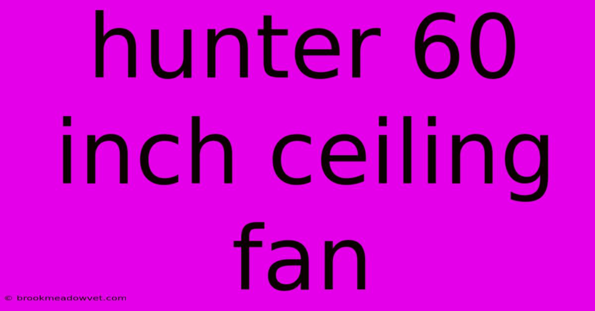 Hunter 60 Inch Ceiling Fan