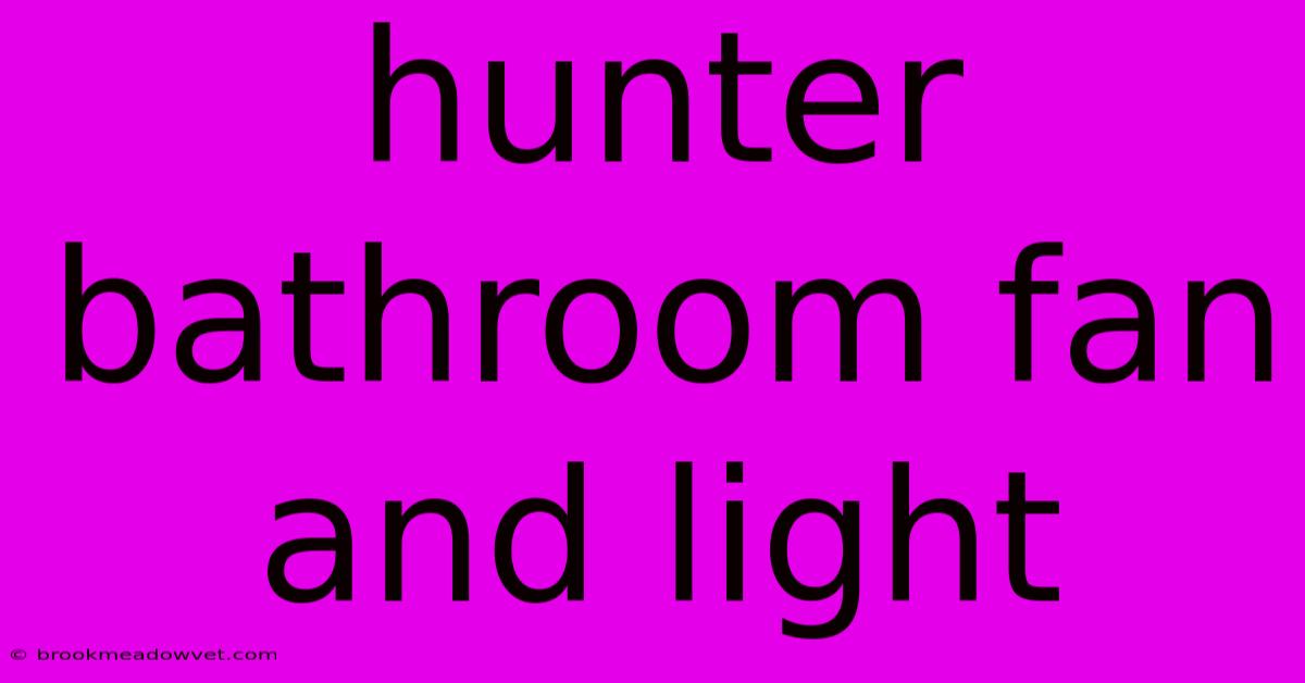 Hunter Bathroom Fan And Light