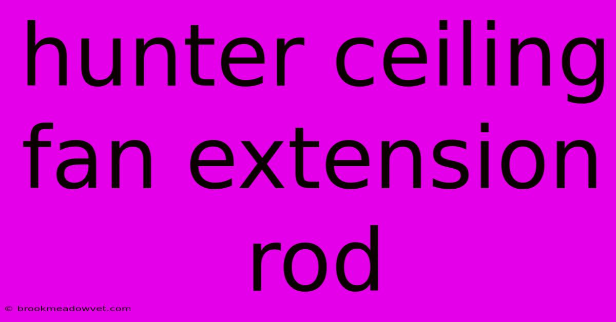 Hunter Ceiling Fan Extension Rod