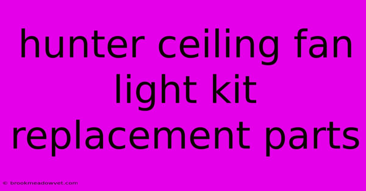 Hunter Ceiling Fan Light Kit Replacement Parts