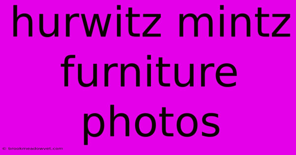 Hurwitz Mintz Furniture Photos