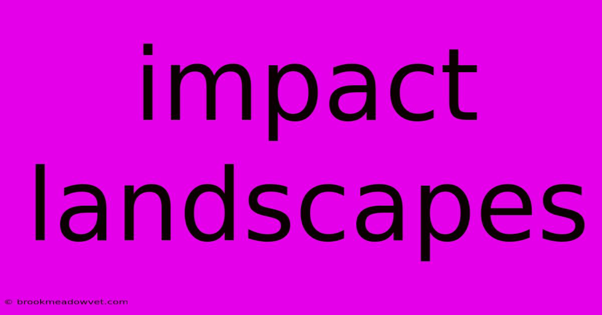 Impact Landscapes