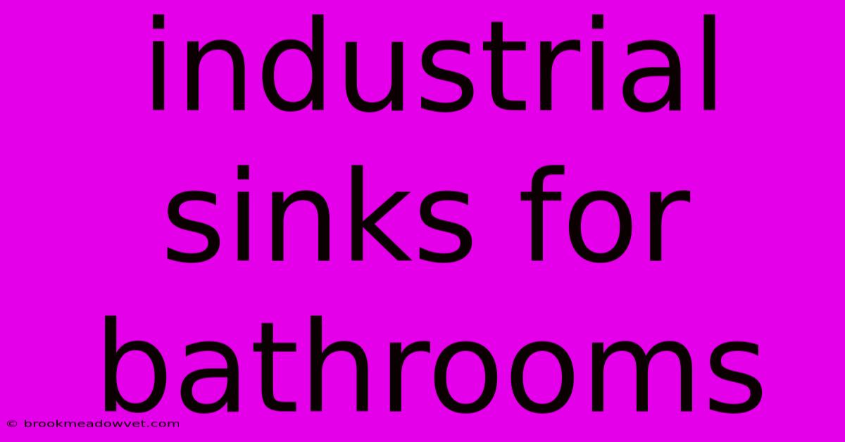 Industrial Sinks For Bathrooms