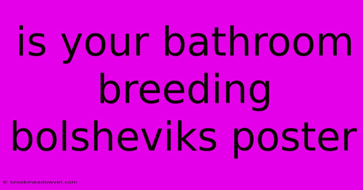 Is Your Bathroom Breeding Bolsheviks Poster