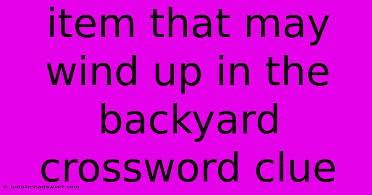 Item That May Wind Up In The Backyard Crossword Clue