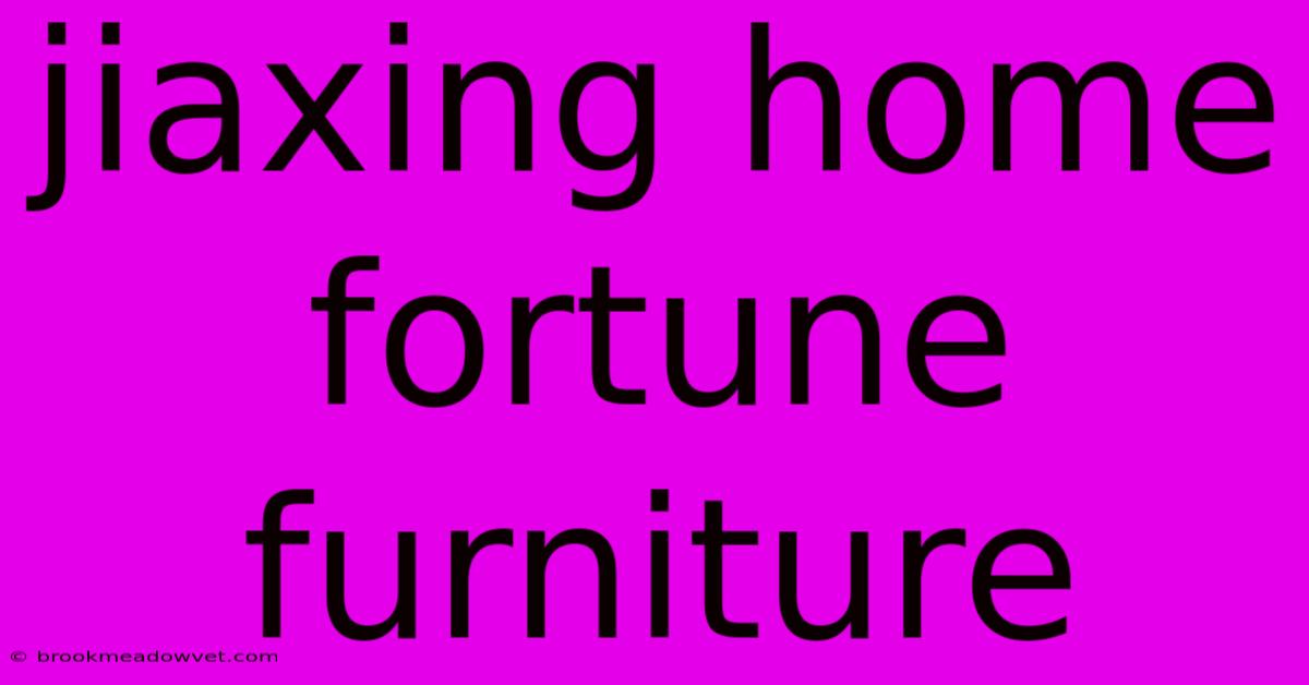 Jiaxing Home Fortune Furniture