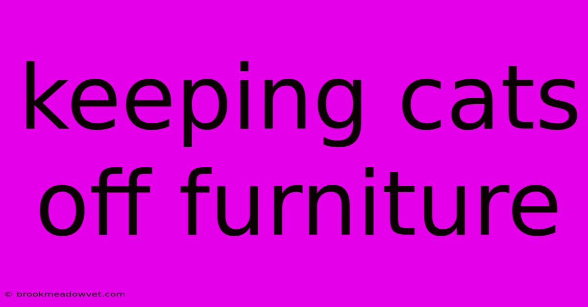 Keeping Cats Off Furniture