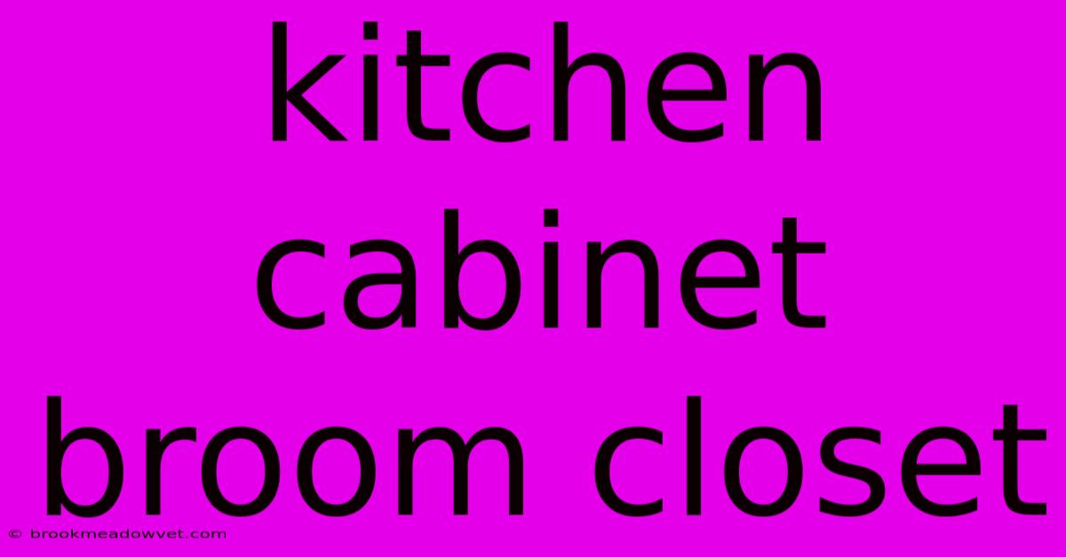 Kitchen Cabinet Broom Closet