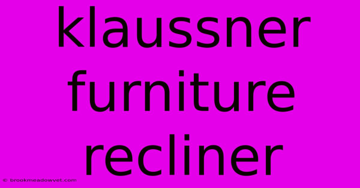 Klaussner Furniture Recliner