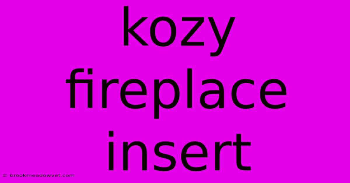 Kozy Fireplace Insert