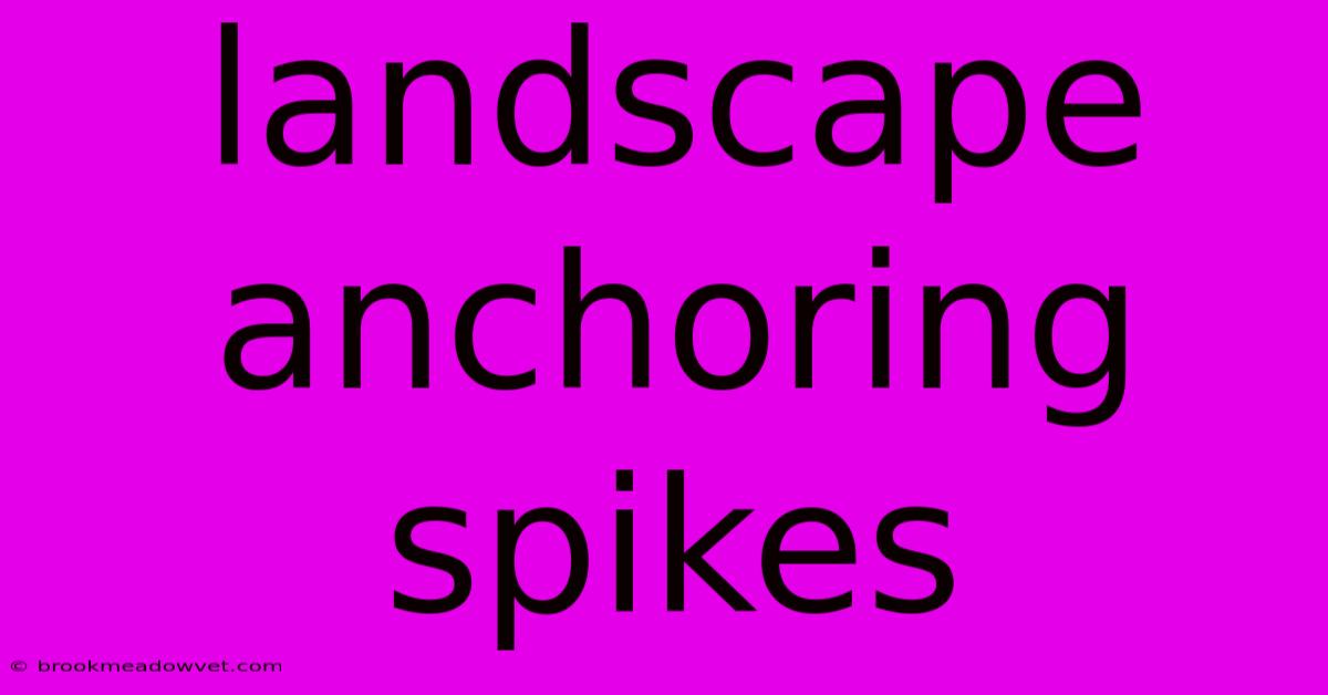 Landscape Anchoring Spikes