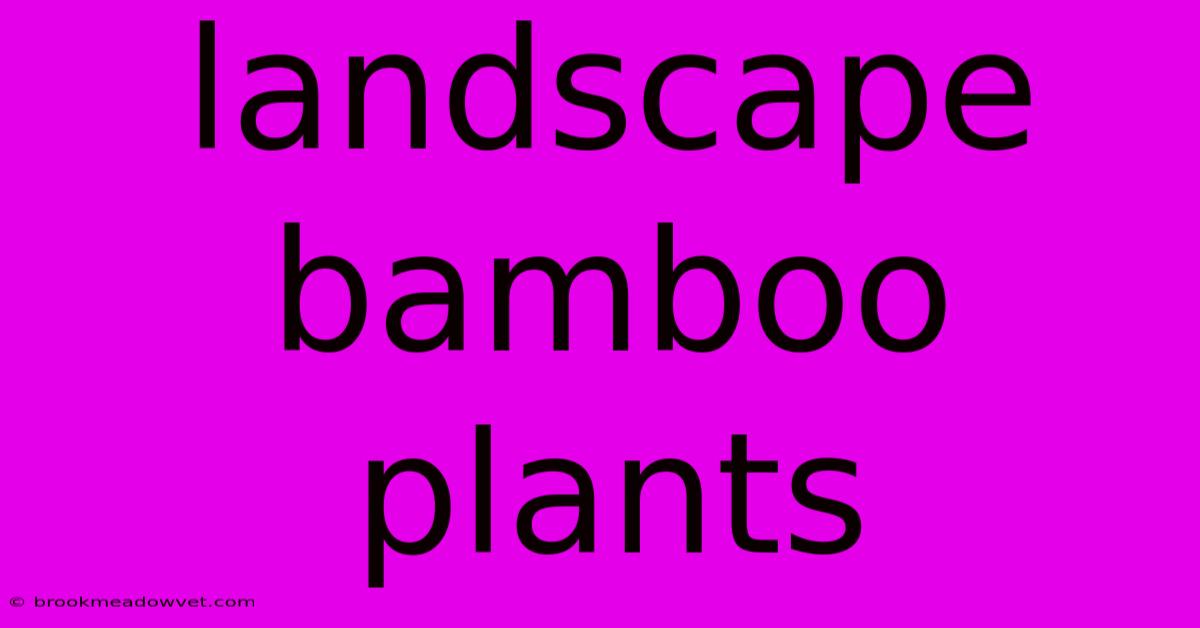 Landscape Bamboo Plants