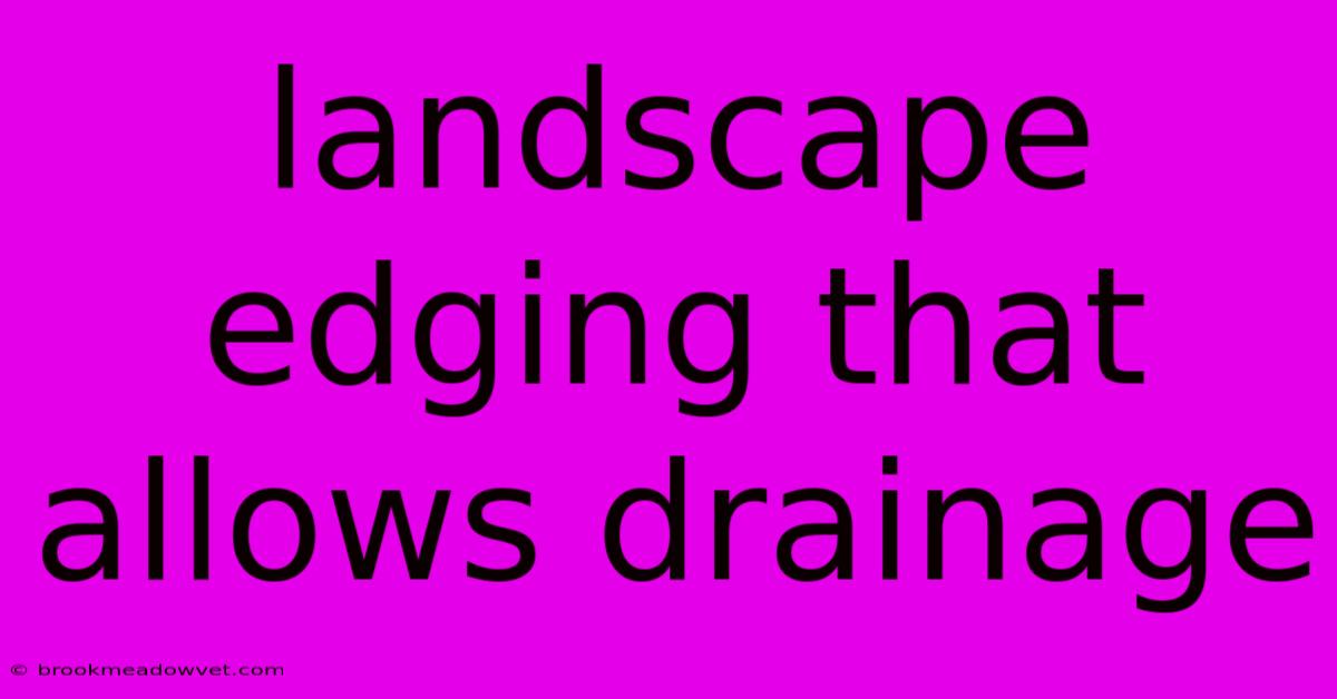 Landscape Edging That Allows Drainage