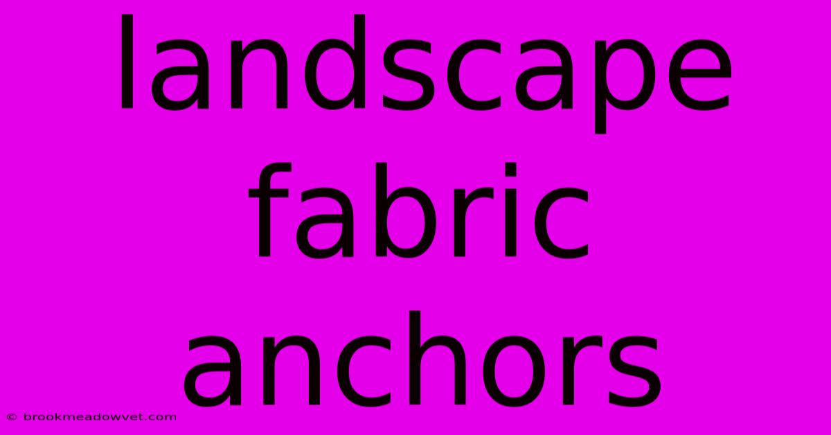 Landscape Fabric Anchors