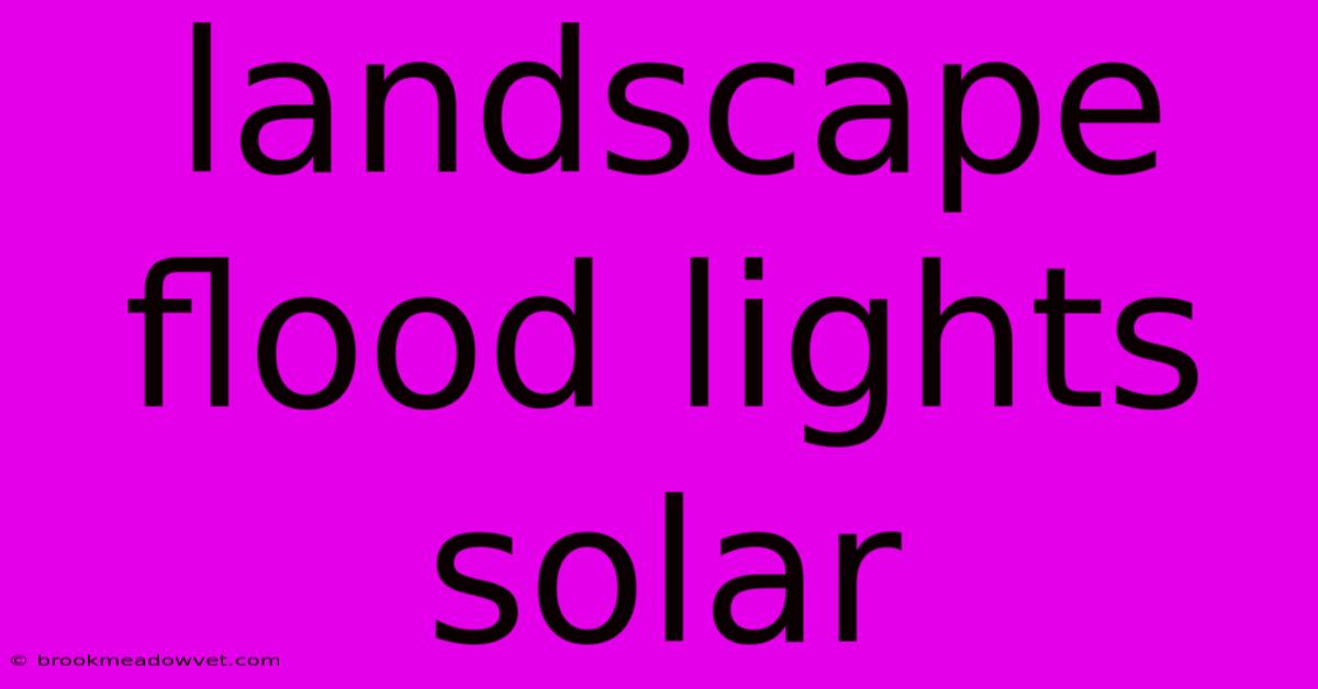 Landscape Flood Lights Solar